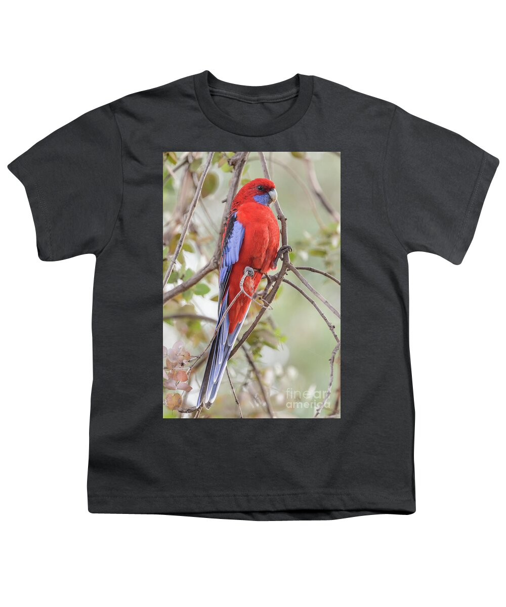 Bird Youth T-Shirt featuring the photograph Crimson Rosella 01 by Werner Padarin