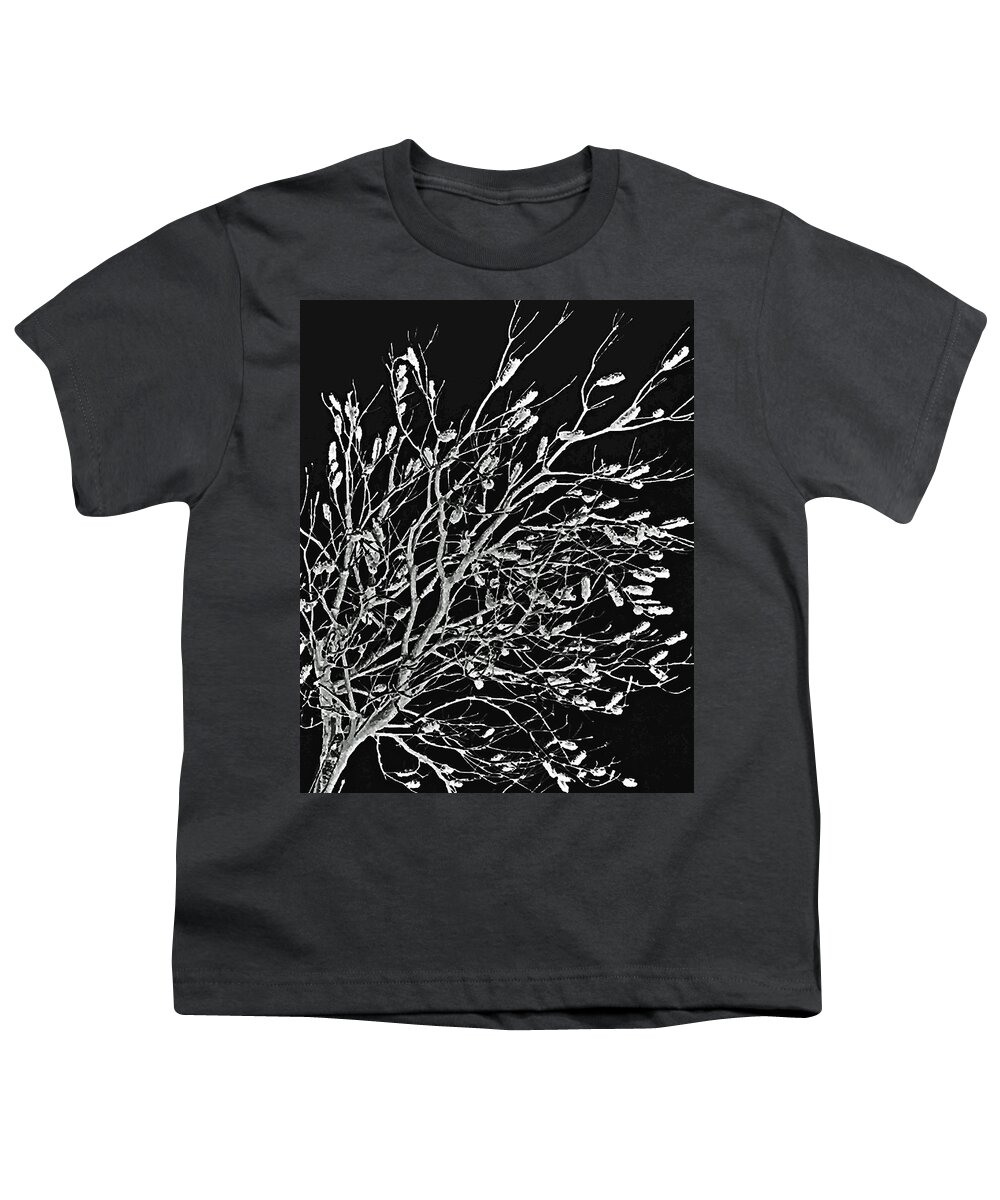 Australia Youth T-Shirt featuring the photograph Cronulla Tree No. 62-2 by Sandy Taylor