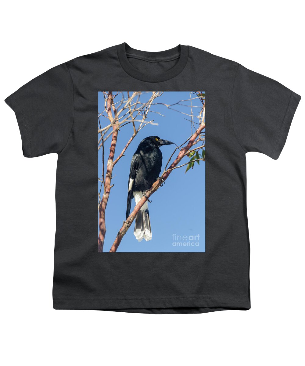 Bird Youth T-Shirt featuring the photograph Currawong by Werner Padarin