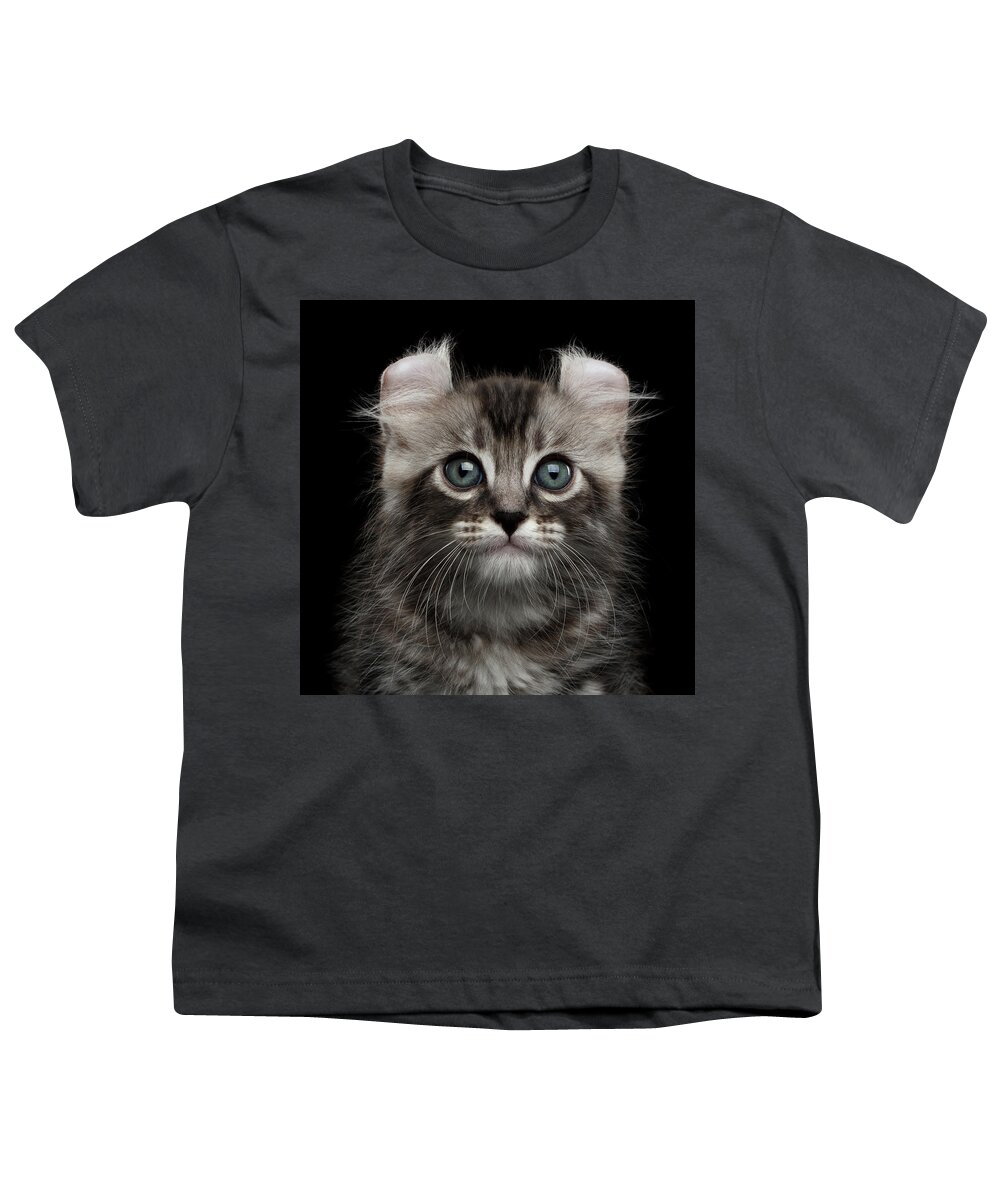 #faatoppicks Youth T-Shirt featuring the photograph Cute American Curl Kitten with Twisted Ears Isolated Black Background by Sergey Taran