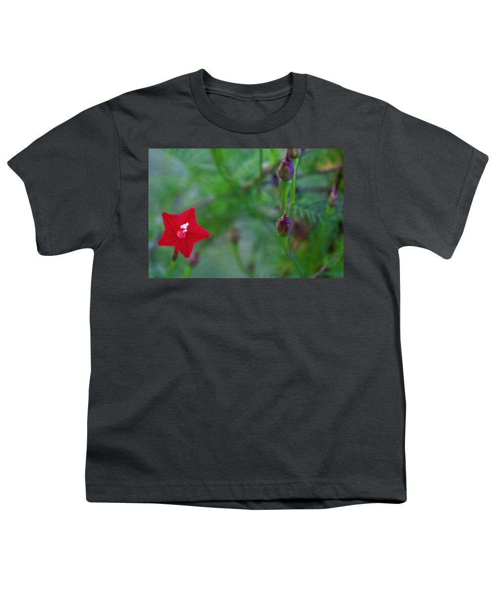 Photograph Youth T-Shirt featuring the photograph Cypress Vine Bloom and Seed Pods by M E