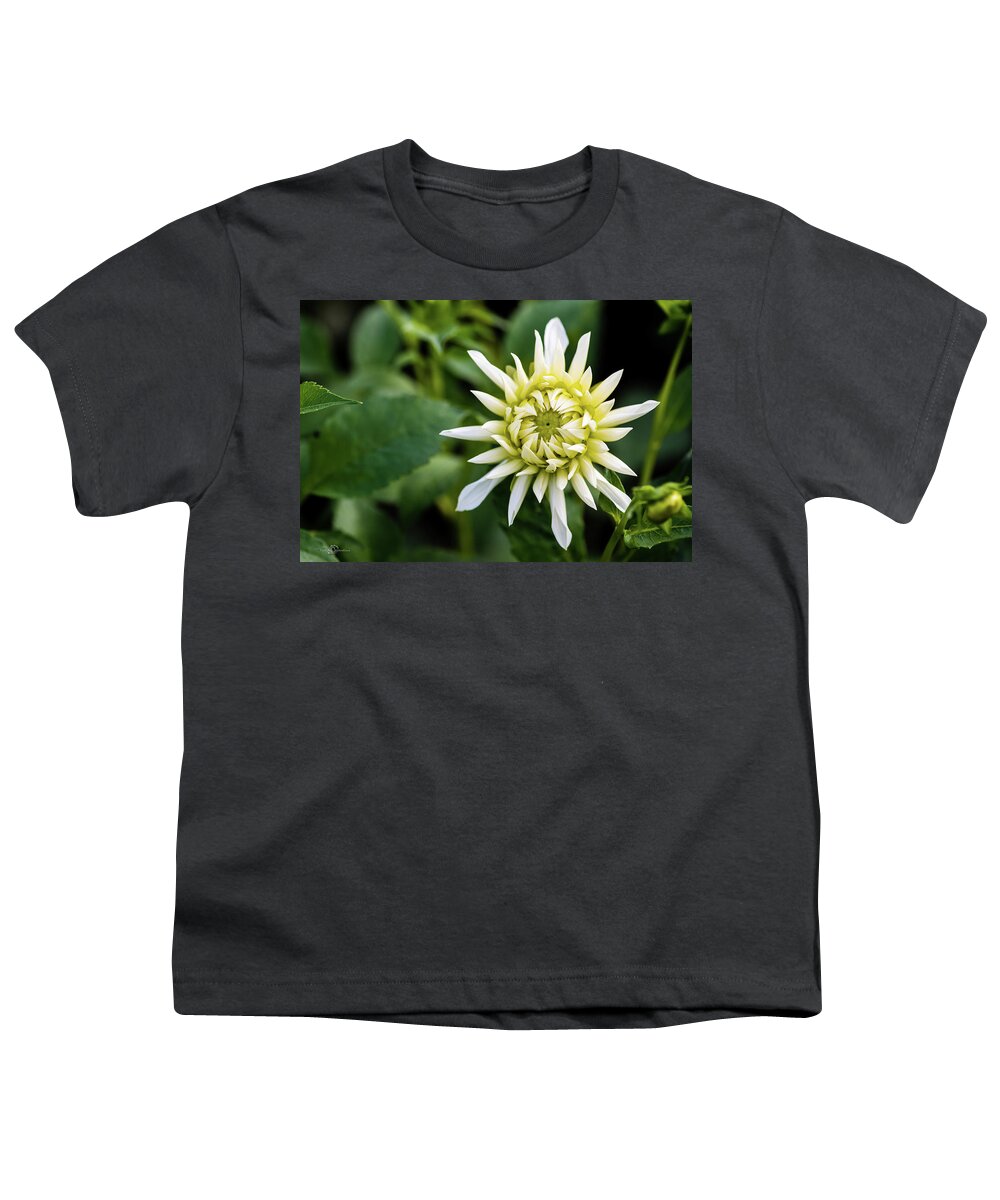 Dahlia Cactus Tall White Youth T-Shirt featuring the photograph Dahlia Cactus Tall White by Torbjorn Swenelius