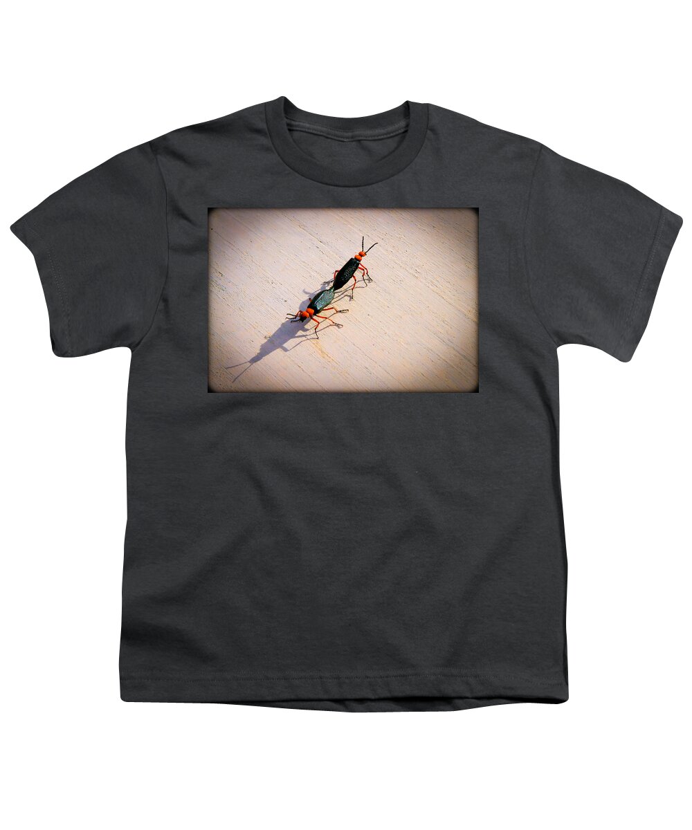 Bonnie Follett Youth T-Shirt featuring the photograph Dance of the Desert Blister Beetles by Bonnie Follett