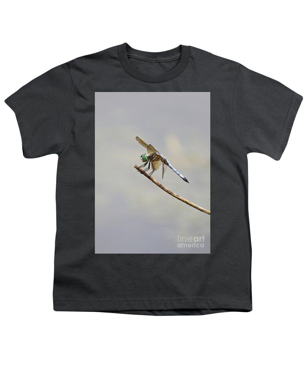 Blue Dragonfly Youth T-Shirt featuring the photograph Darling Dragonfly by Carol Groenen