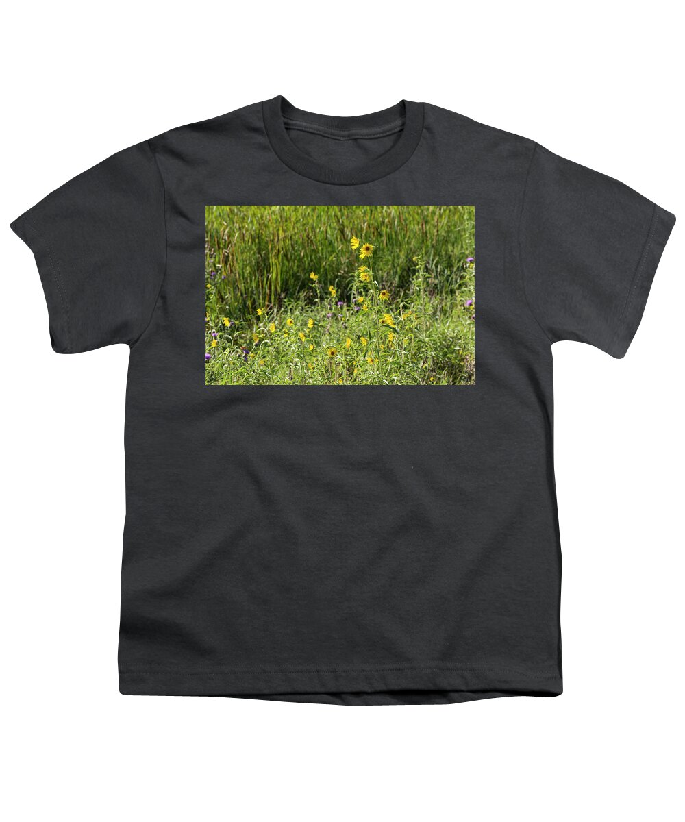 Sunflowers Youth T-Shirt featuring the photograph DDP DJD Sunflowers 2619 by David Drew
