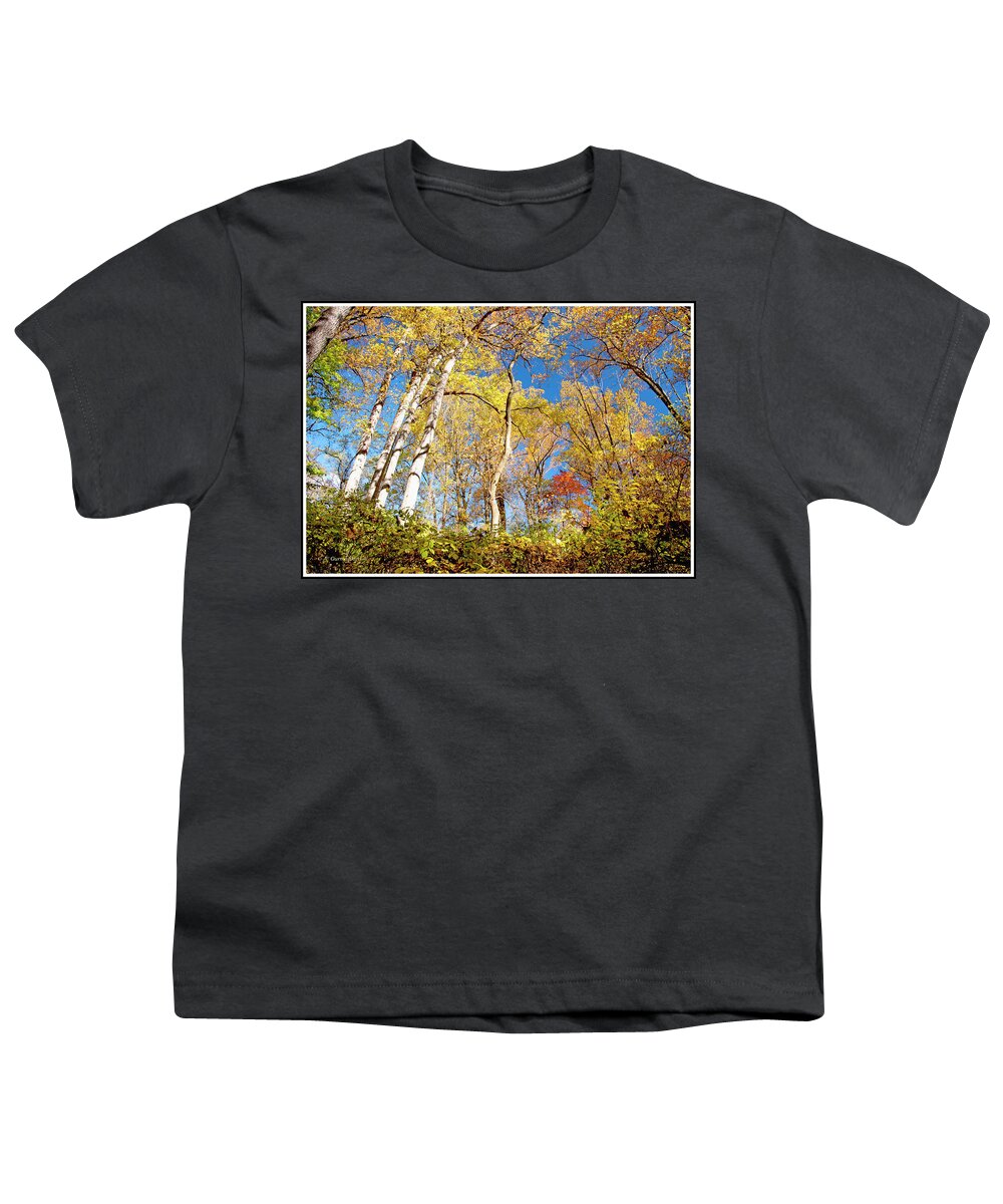 Deciduous Youth T-Shirt featuring the photograph Deciduous Forest Canopy, Autumn by A Macarthur Gurmankin