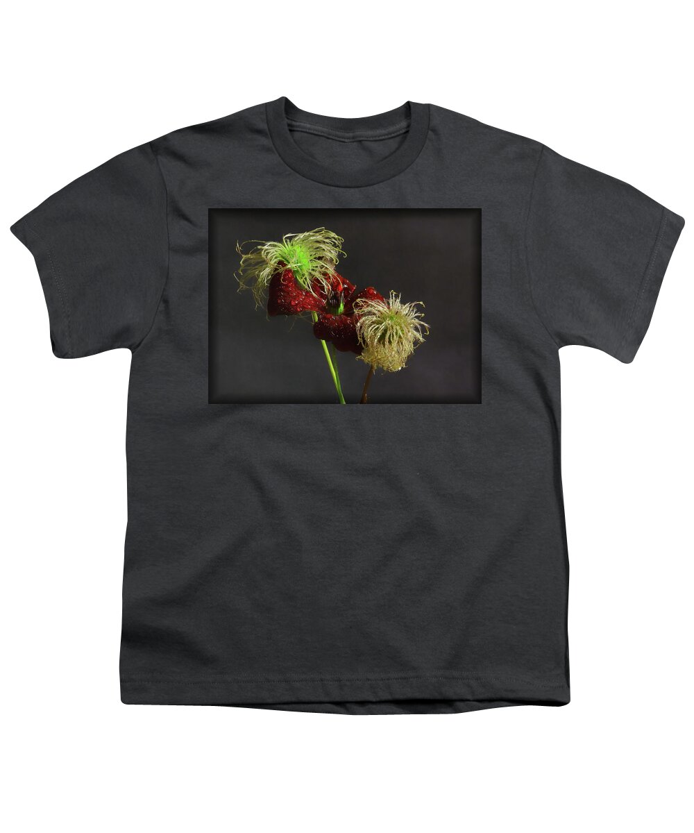 Clematis Youth T-Shirt featuring the photograph Deep Red Clematis and Seed Head by Jeff Townsend