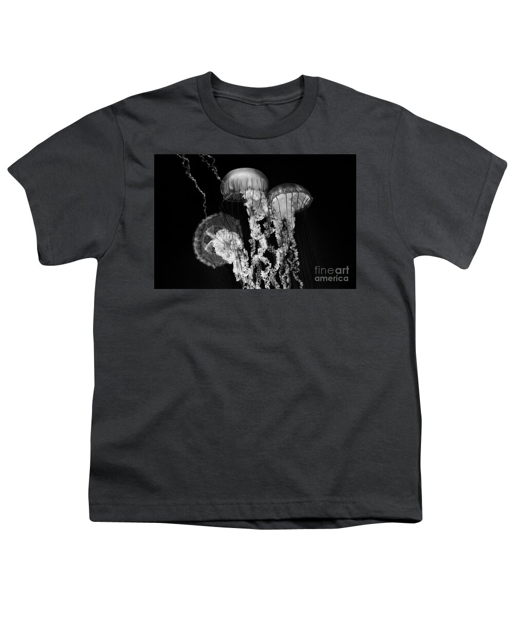Jellyfish Youth T-Shirt featuring the photograph Deep Sea Lanterns by Mimi Ditchie