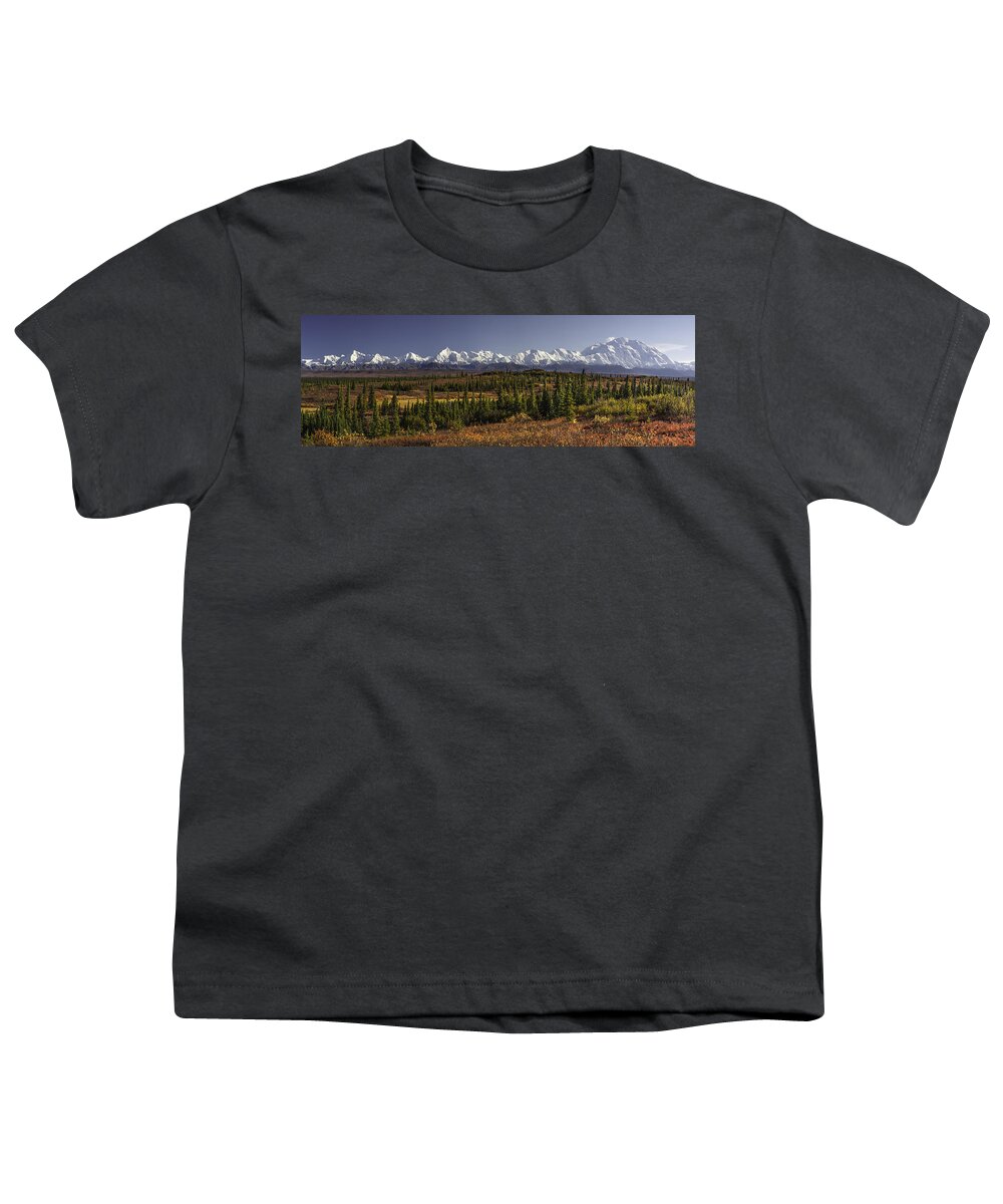 Alaska Youth T-Shirt featuring the photograph Denali Tundra by Ed Boudreau