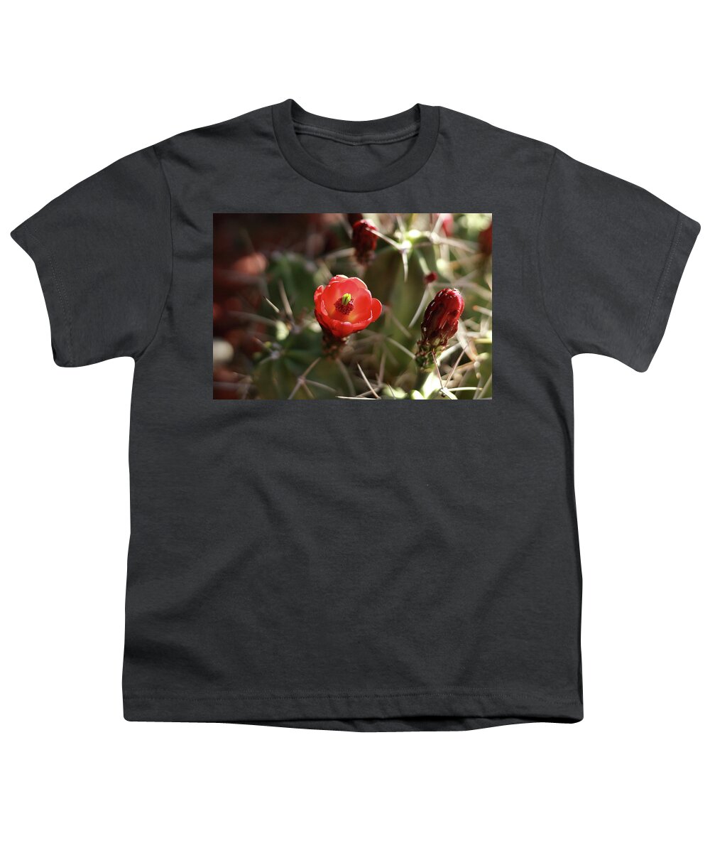 Cactus Youth T-Shirt featuring the photograph Desert Rose by David Diaz