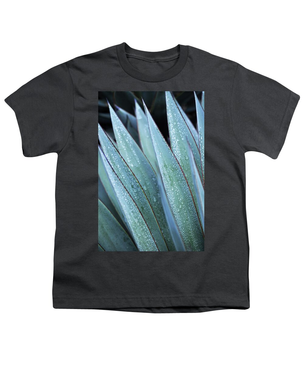 Los Angeles County Arboretum Youth T-Shirt featuring the photograph Dew Drop Cactus Portrait by Kyle Hanson