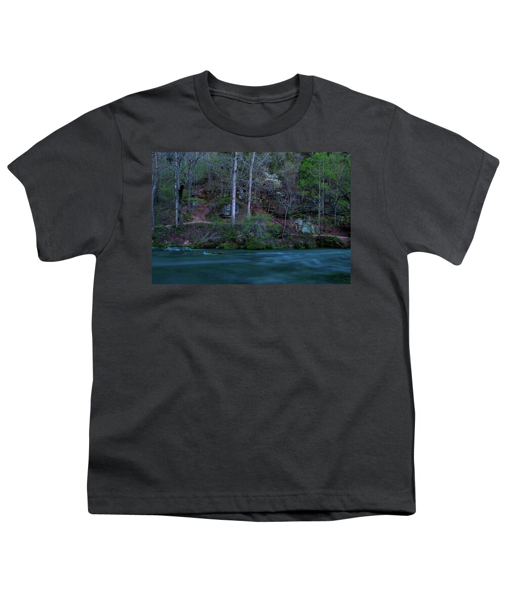 Missouri Youth T-Shirt featuring the photograph Dogwood at Night by Steve Stuller
