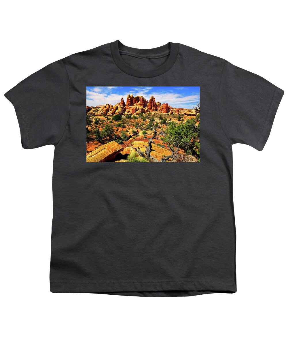 Doll House Youth T-Shirt featuring the photograph Doll House in the Desert by Greg Norrell