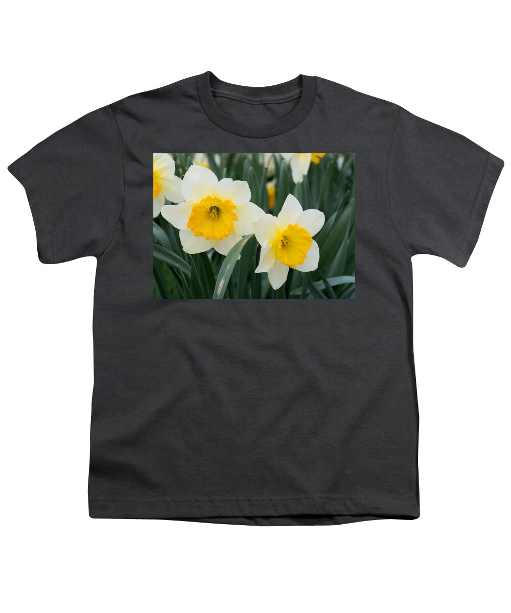 Daffodils Youth T-Shirt featuring the photograph Double Daffodils by Holden The Moment