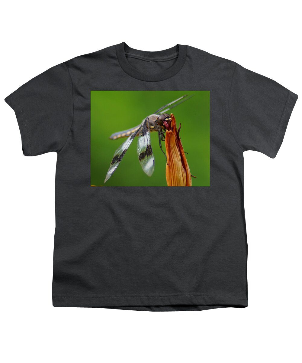 Dragonfly Youth T-Shirt featuring the photograph Dragonfly Portrait 2 by Ben Upham III