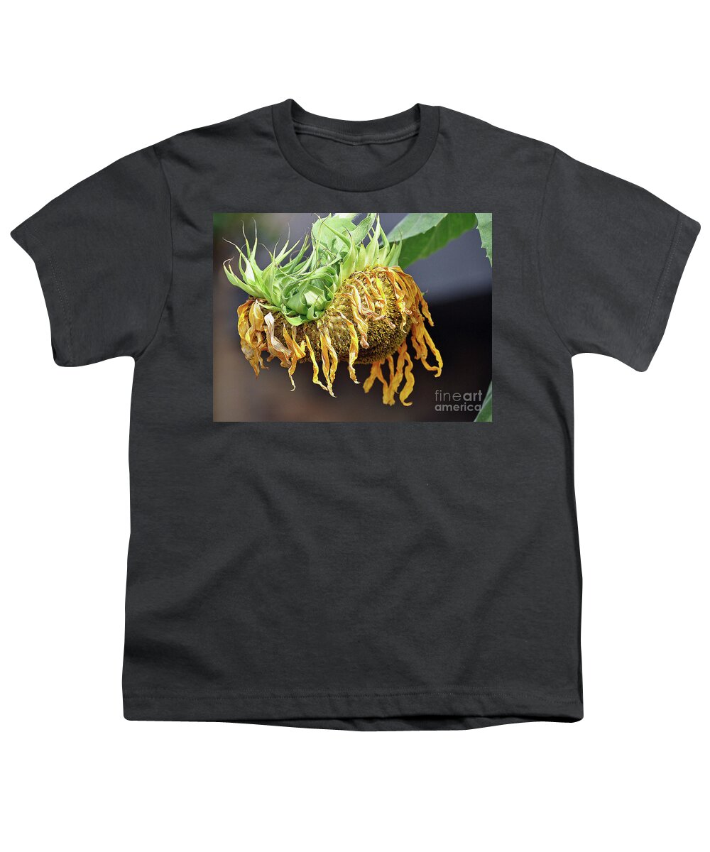 Sunflowers Youth T-Shirt featuring the photograph Dried Sunflower by Savannah Gibbs