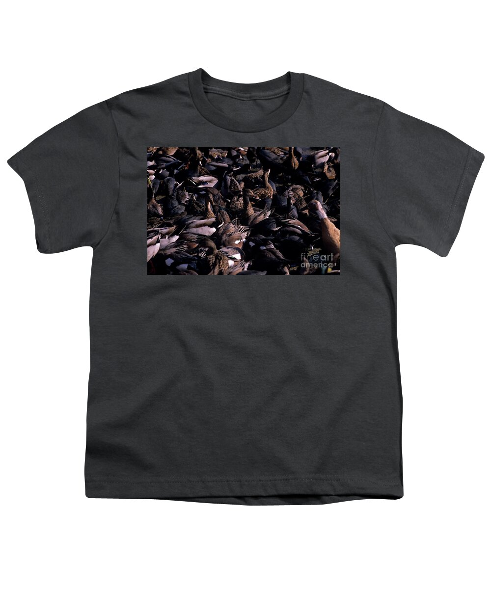 Natural World Youth T-Shirt featuring the photograph Ducks and Coots along Shoreline by Jim Corwin