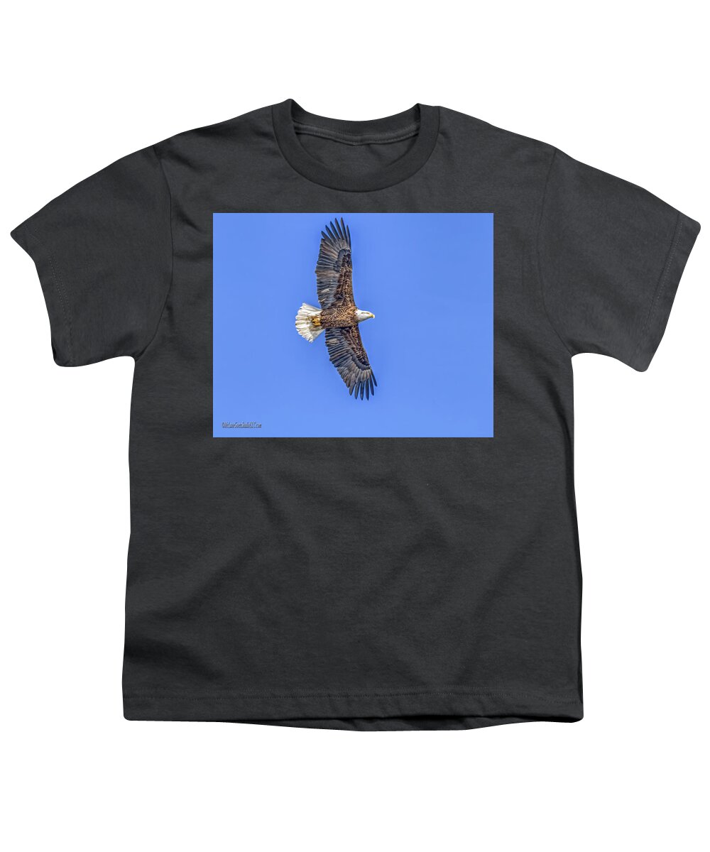 Eagle Youth T-Shirt featuring the photograph Eagle Wild and Free by LeeAnn McLaneGoetz McLaneGoetzStudioLLCcom