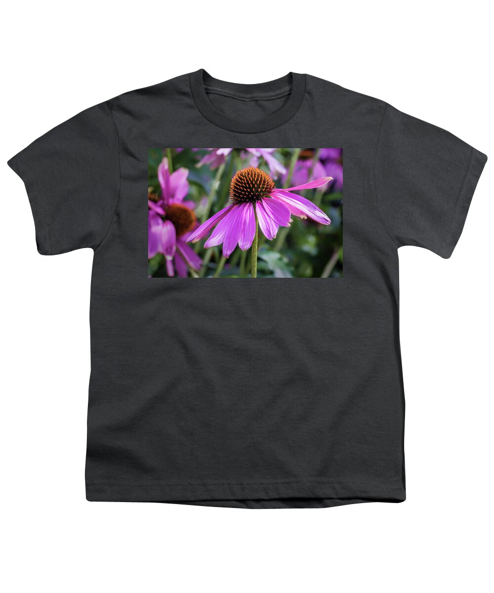 Asteraceae Youth T-Shirt featuring the photograph Eastern Purple Coneflower by Tim Abeln