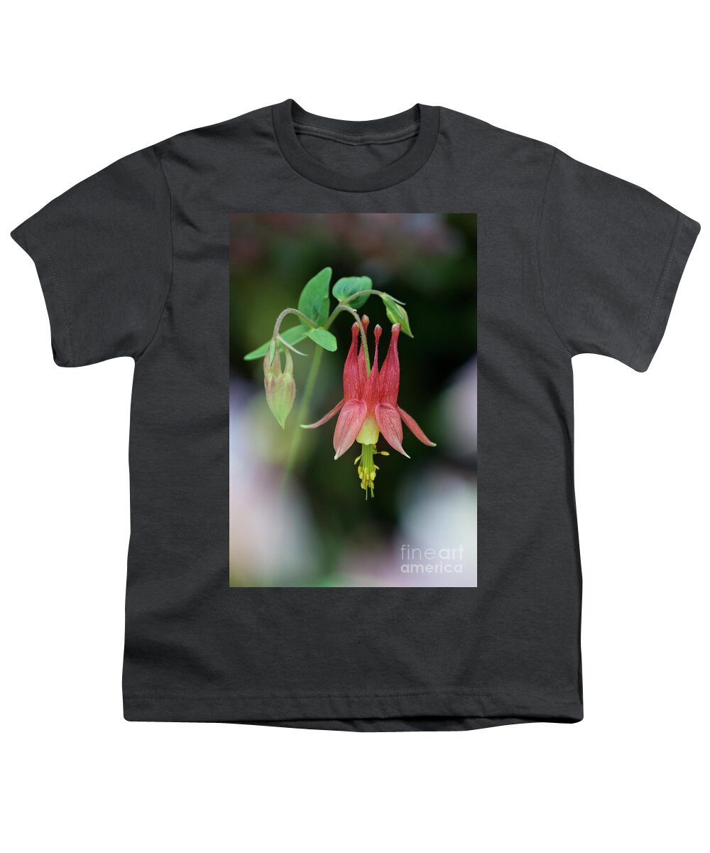 Columbine Youth T-Shirt featuring the photograph Eastern Red Columbine - D010104 by Daniel Dempster