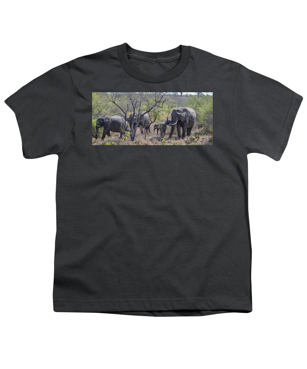 Africa Youth T-Shirt featuring the photograph Elephant Family on the Move by Jeff at JSJ Photography