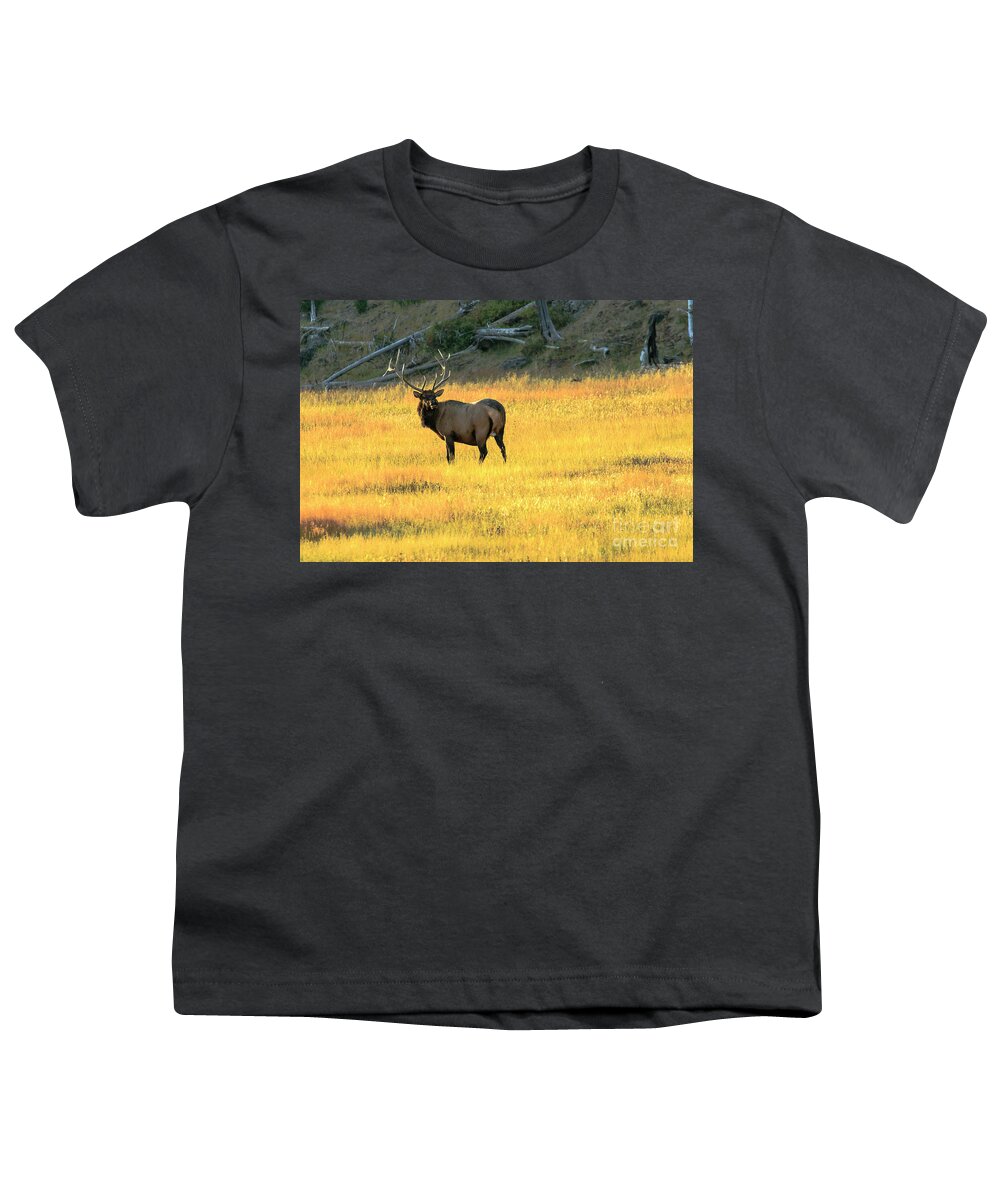 Elk Youth T-Shirt featuring the photograph Elk Buck Yellowstone by Ben Graham