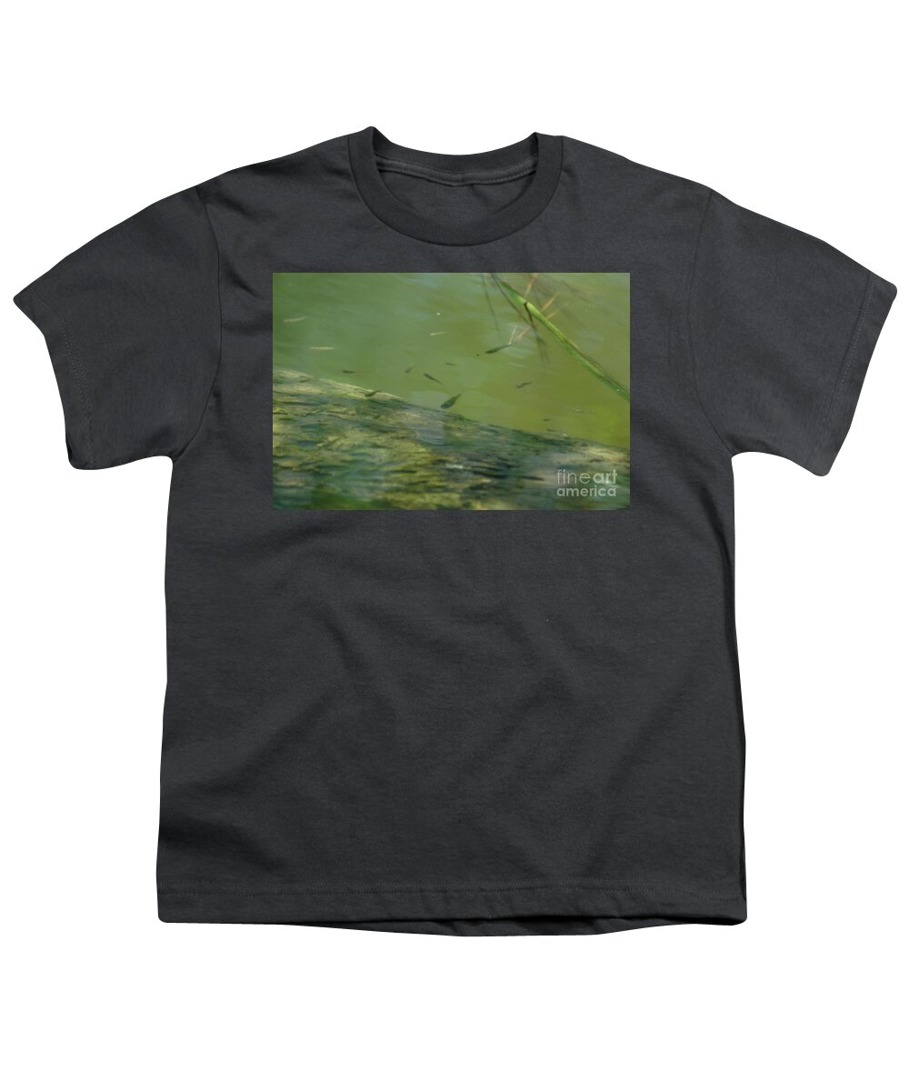 Minnow Youth T-Shirt featuring the photograph Emerald Shiner by Dale Powell