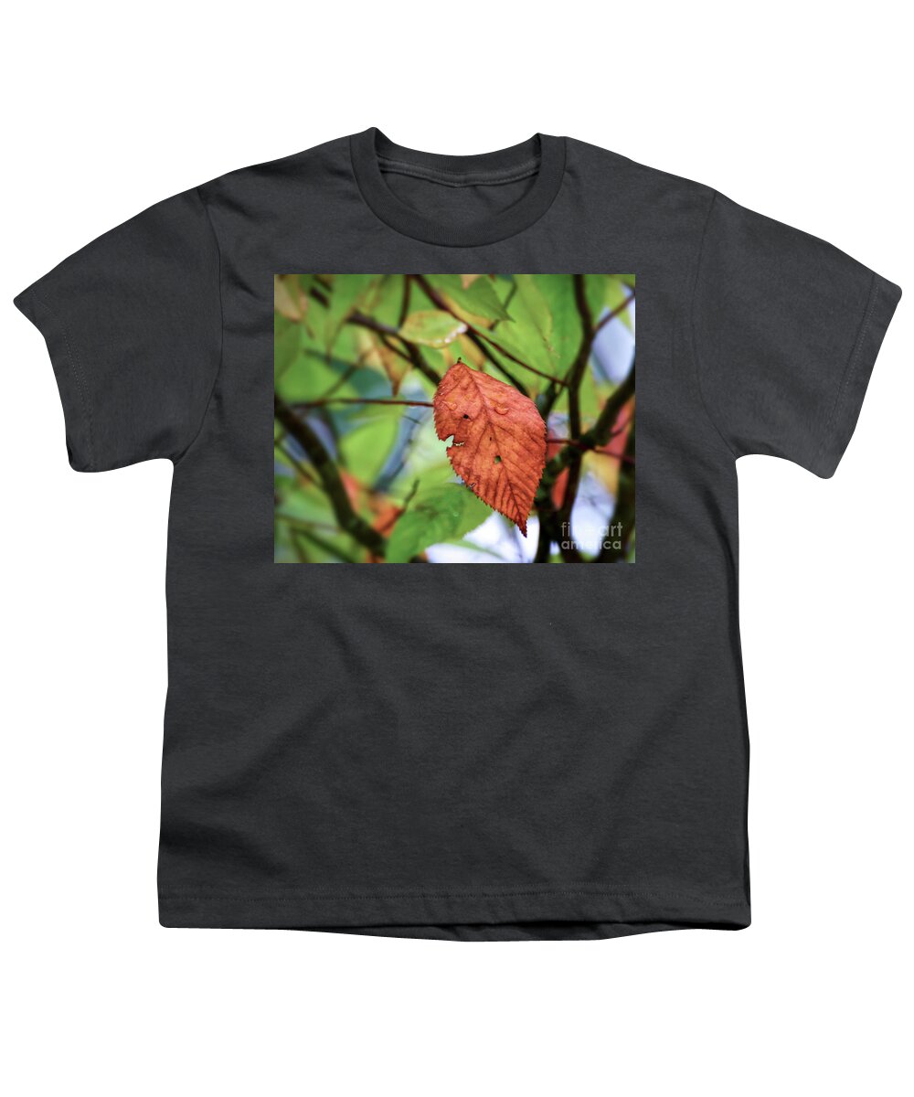 Leaf Youth T-Shirt featuring the photograph Faces In The Leaf by Kerri Farley