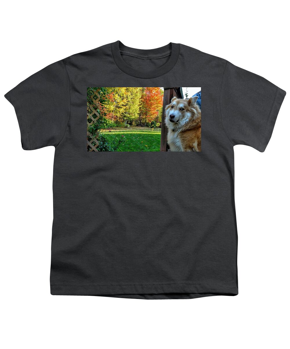  Youth T-Shirt featuring the photograph Fall Ducati by Brad Nellis