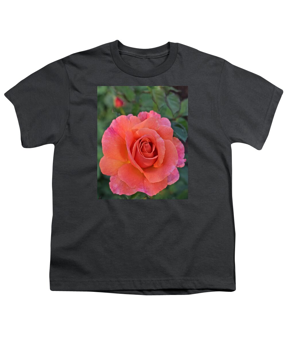 Roses Youth T-Shirt featuring the photograph Fall Gardens Harvest Rose 2 by Janis Senungetuk