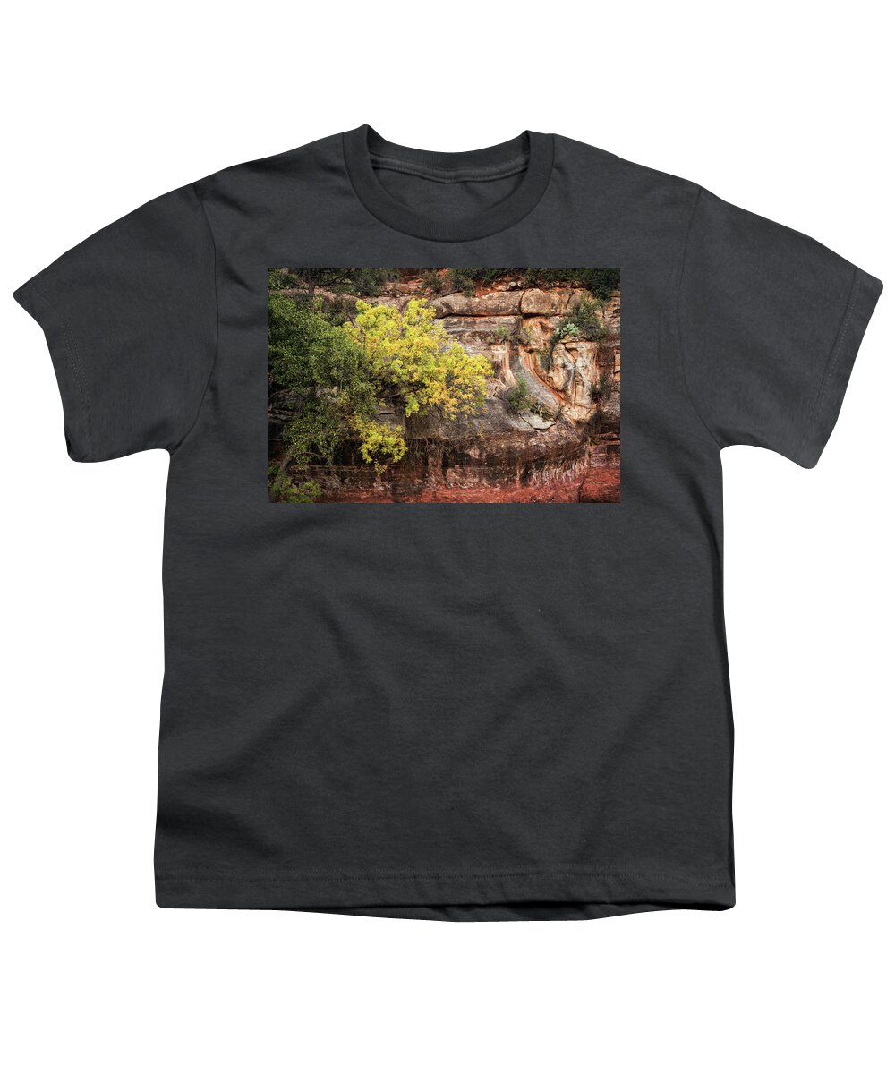 Arizona Youth T-Shirt featuring the photograph Fall In The Red Rocks by Saija Lehtonen