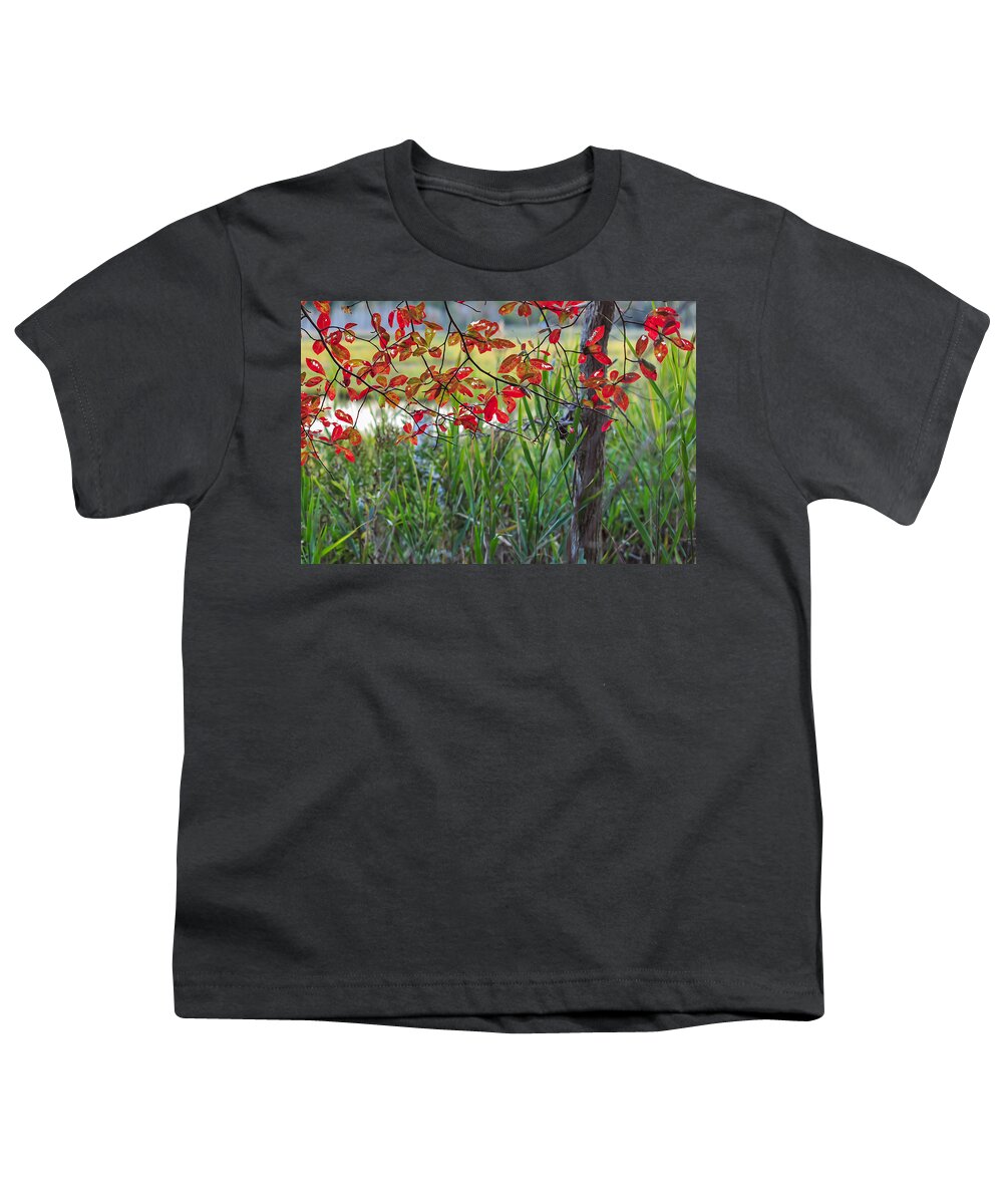 Terry D Photography Youth T-Shirt featuring the photograph Fall Is Upon Us by Terry DeLuco