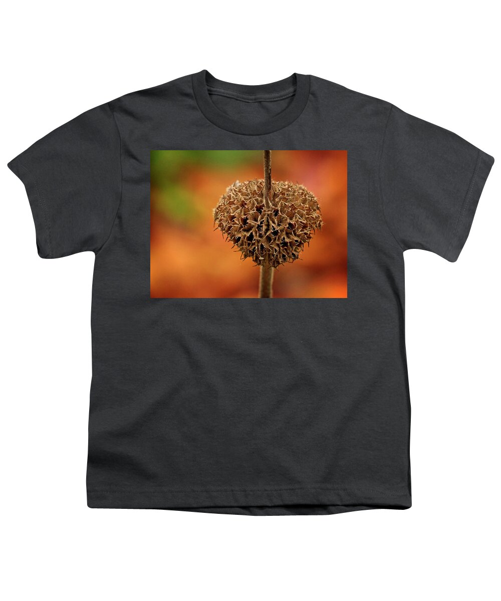 Fall Youth T-Shirt featuring the photograph Fall textures - 365-240 by Inge Riis McDonald