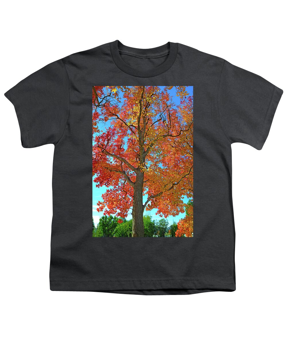 Fall Colors Youth T-Shirt featuring the photograph Fall's Farewell by Lynn Bauer