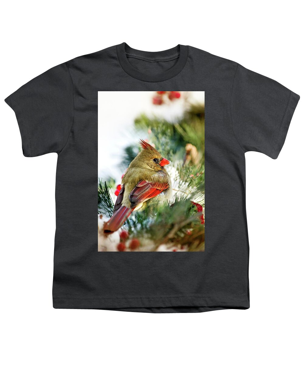 Cardinal Youth T-Shirt featuring the photograph Female Northern Cardinal by Christina Rollo