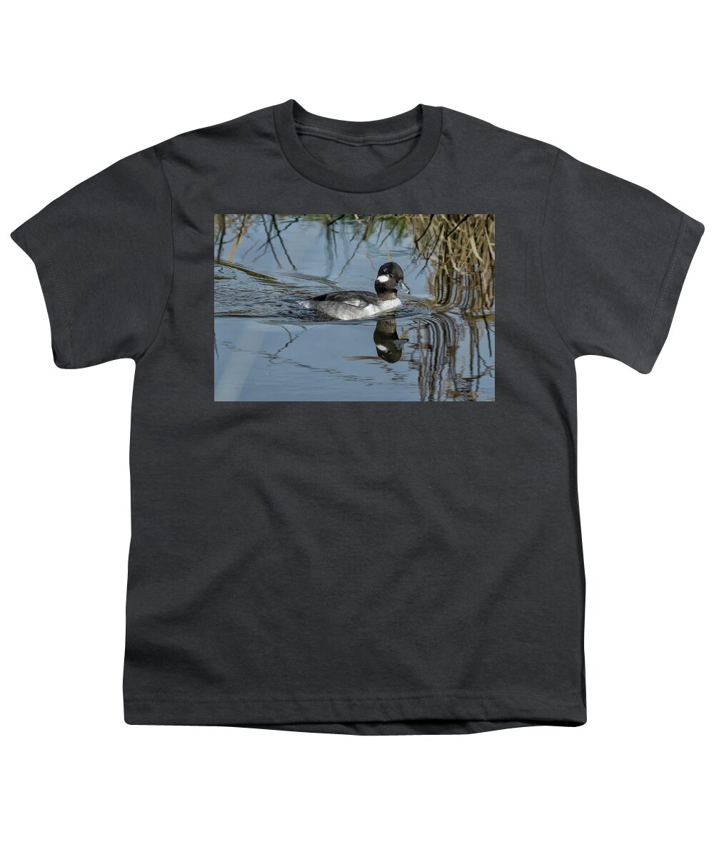 Pied-billed Grebe Youth T-Shirt featuring the photograph Female or Immature Male Bufflehead by Belinda Greb