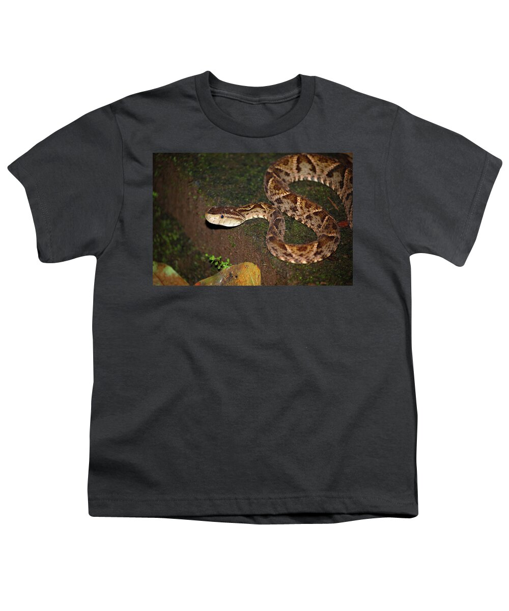 Snake Youth T-Shirt featuring the photograph Fer-de-lance, Botherops asper by Breck Bartholomew