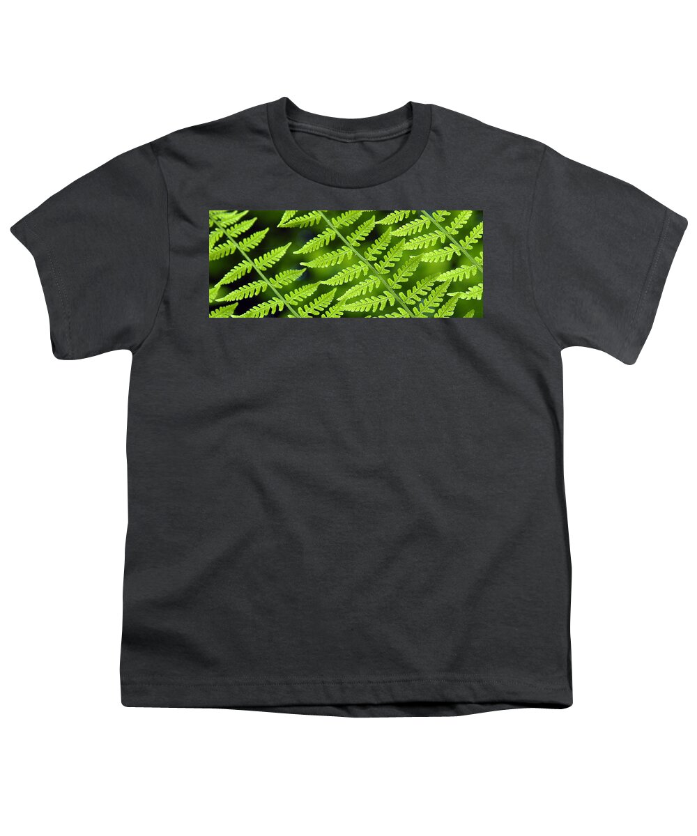Fern Youth T-Shirt featuring the photograph Fern Branches by Ted Keller