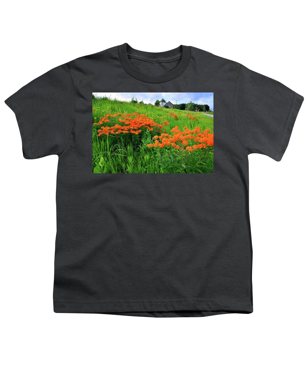 Glacial Park Youth T-Shirt featuring the photograph Field of Butterfly Milkweed in Glacial Park by Ray Mathis