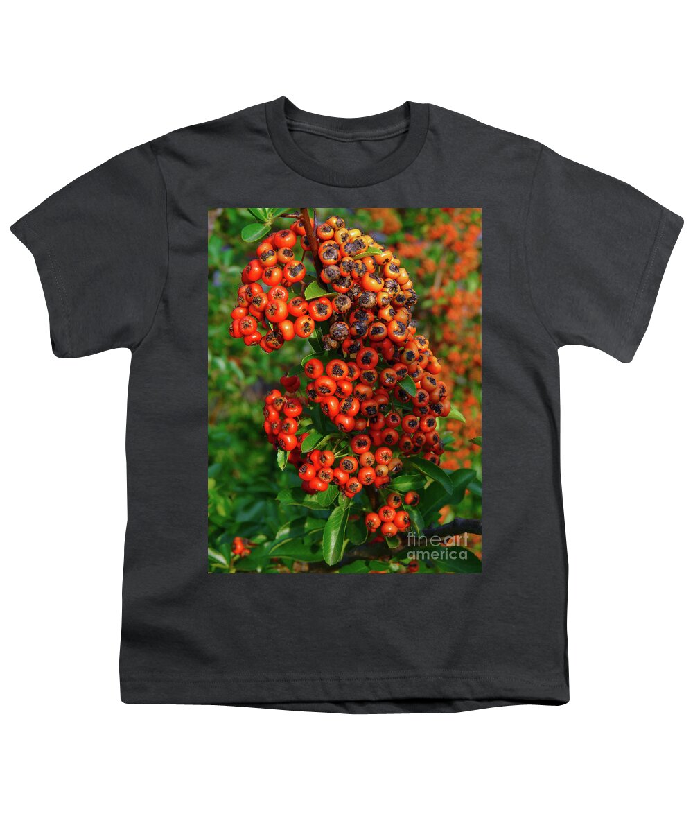Fire Thorn Bush Youth T-Shirt featuring the photograph Fire Thorn by Jasna Dragun