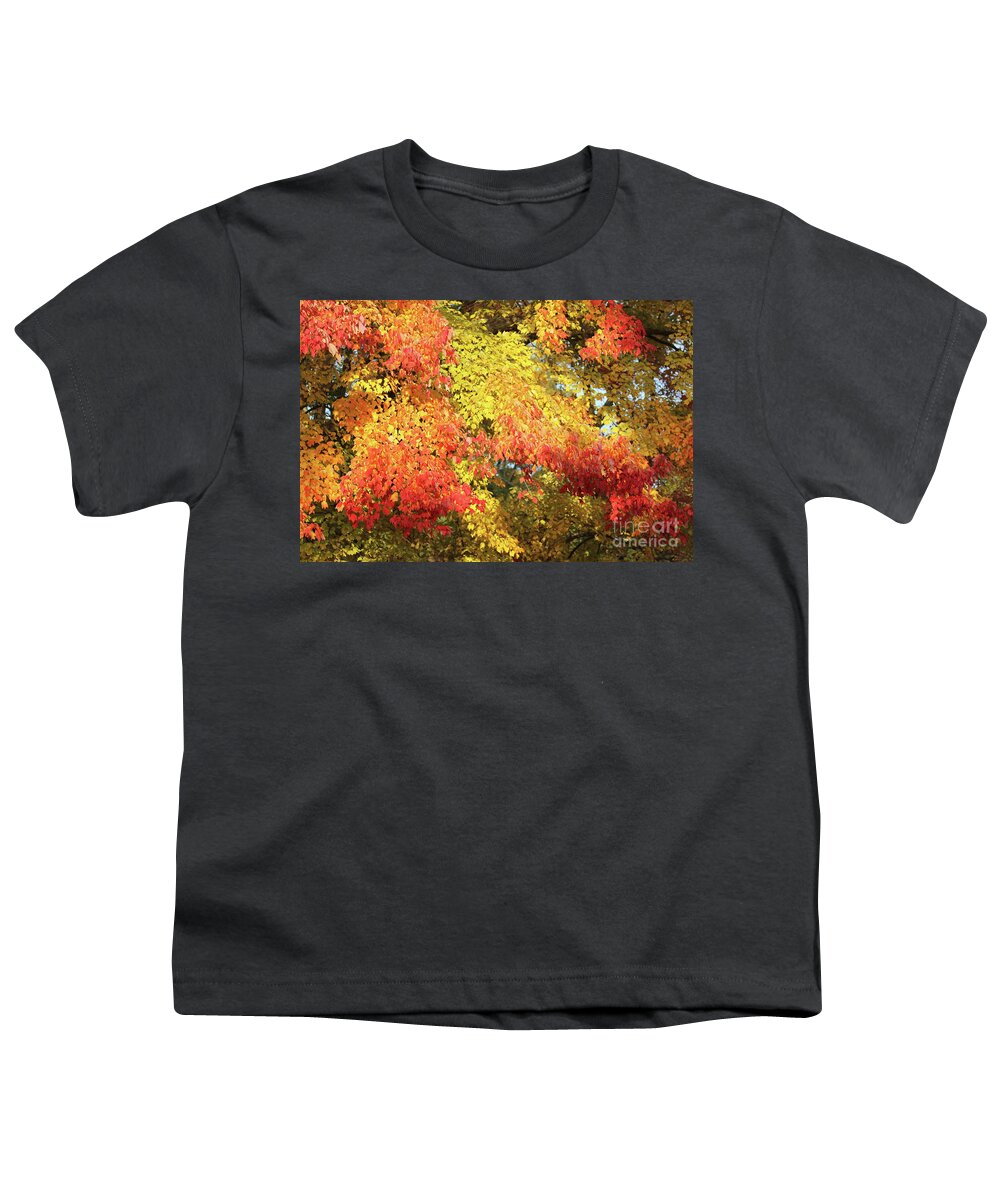 Reid Callaway Autumn Leaves Youth T-Shirt featuring the photograph Flaming Autumn Leaves Art by Reid Callaway