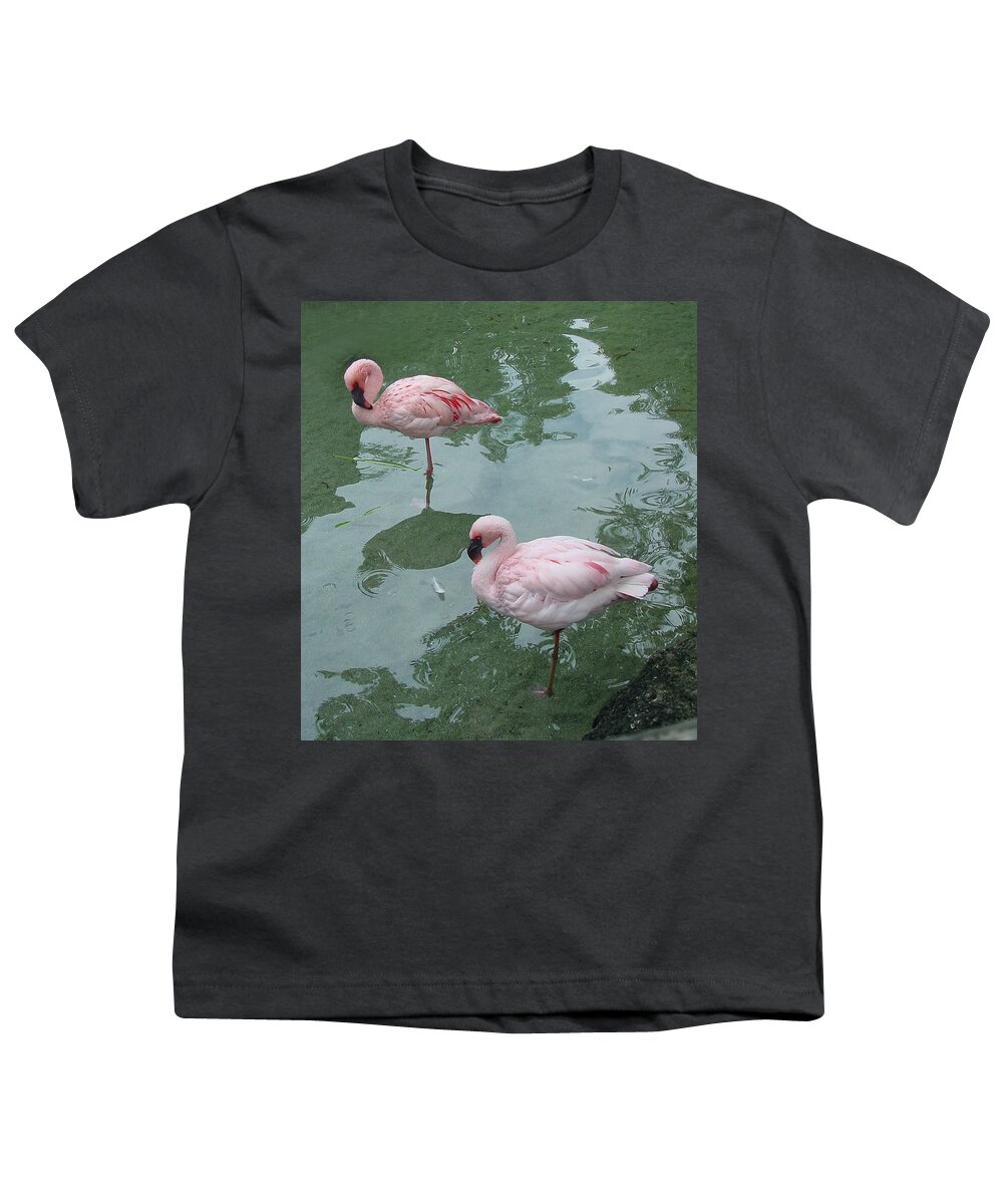 Wildlife Youth T-Shirt featuring the photograph Flamingoes Posing by Shirley Heyn