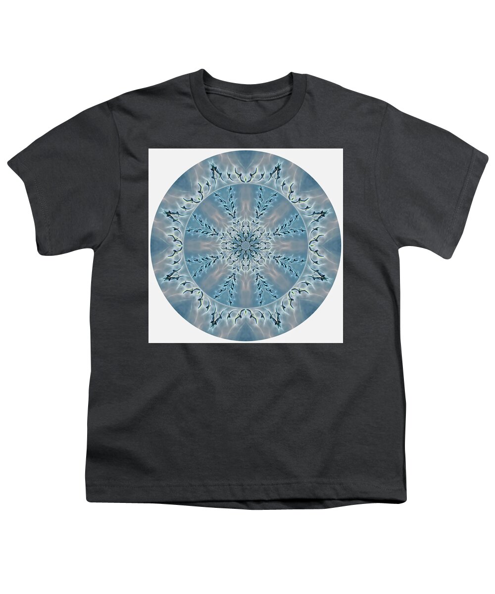 Tundra Swan Youth T-Shirt featuring the digital art Flight of the Tundra Swan Mandala by Beth Venner