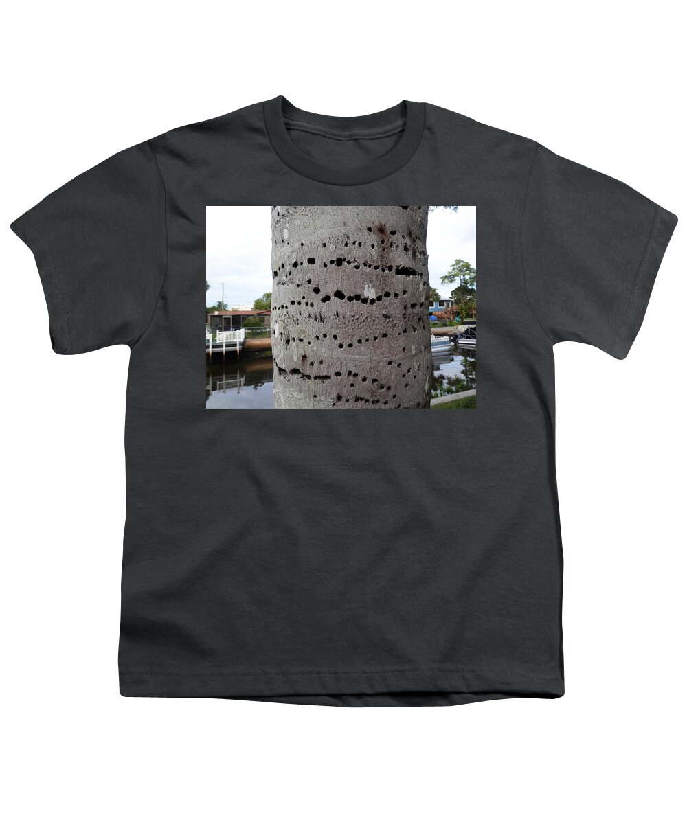 #crazy #woodpecker #holes On #palm Tree In #port Richey #florida #canal Side Youth T-Shirt featuring the photograph Florida Palm Pecked by Woodpecker by Belinda Lee