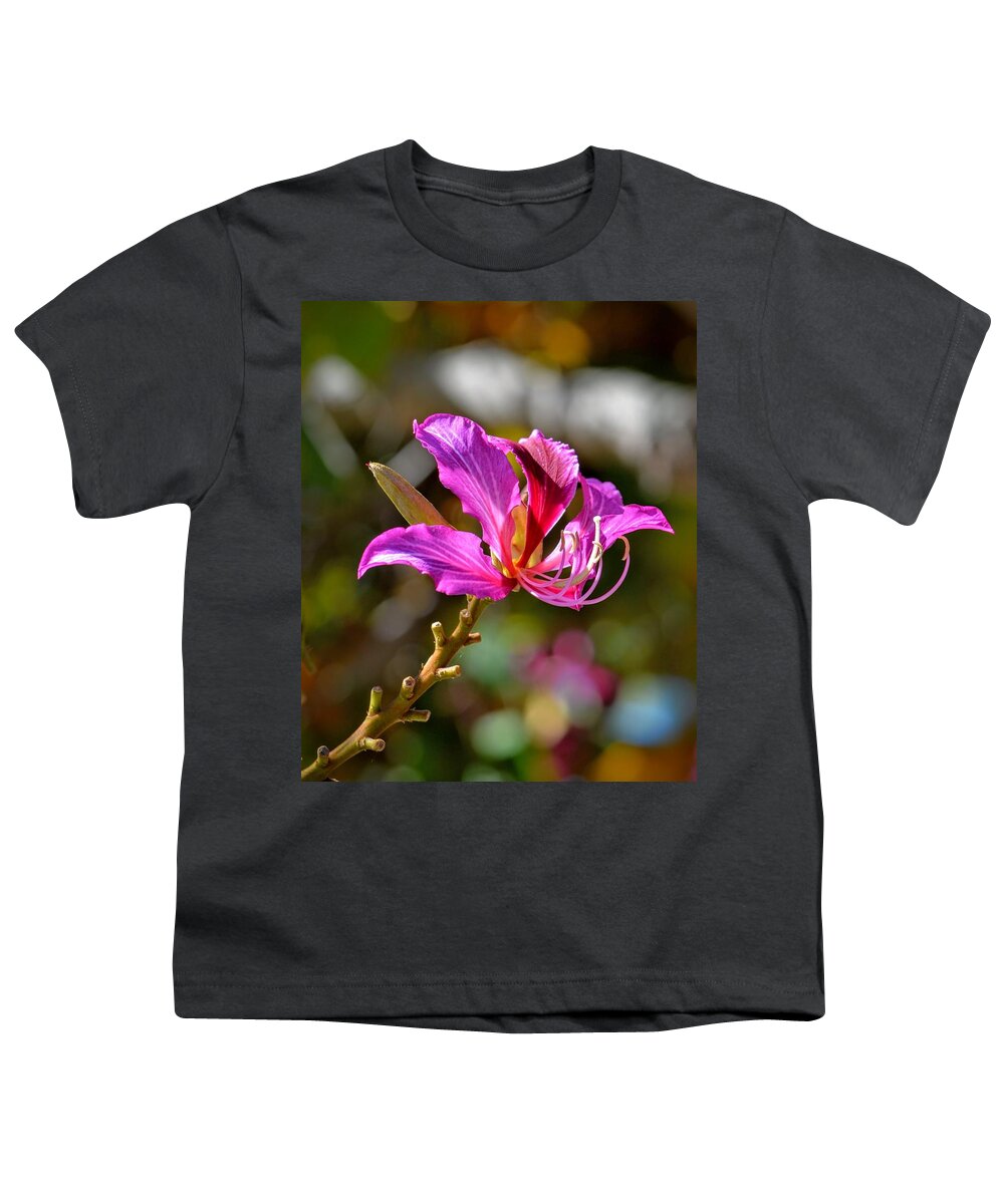 Purple Youth T-Shirt featuring the photograph Flowering Tree by Dean Ferreira
