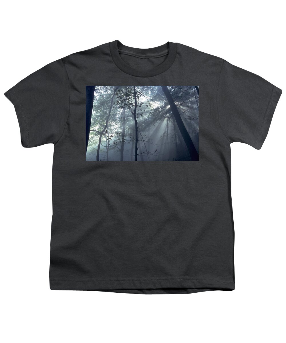 Forest Youth T-Shirt featuring the photograph Fog Braids The Sunlight by Sven Brogren
