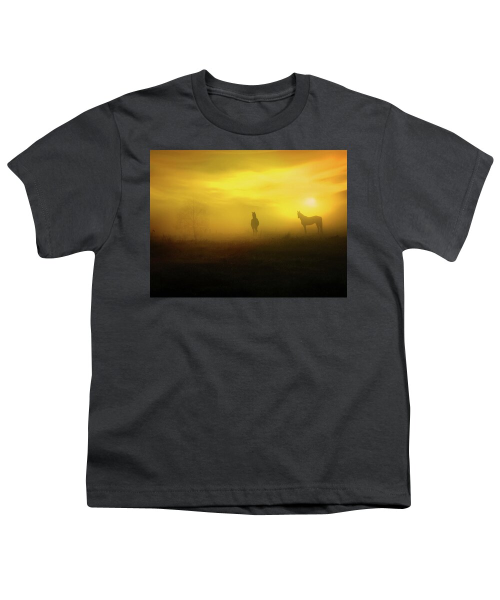 Foggy Sunset Youth T-Shirt featuring the photograph Foggy sunset by Lilia S