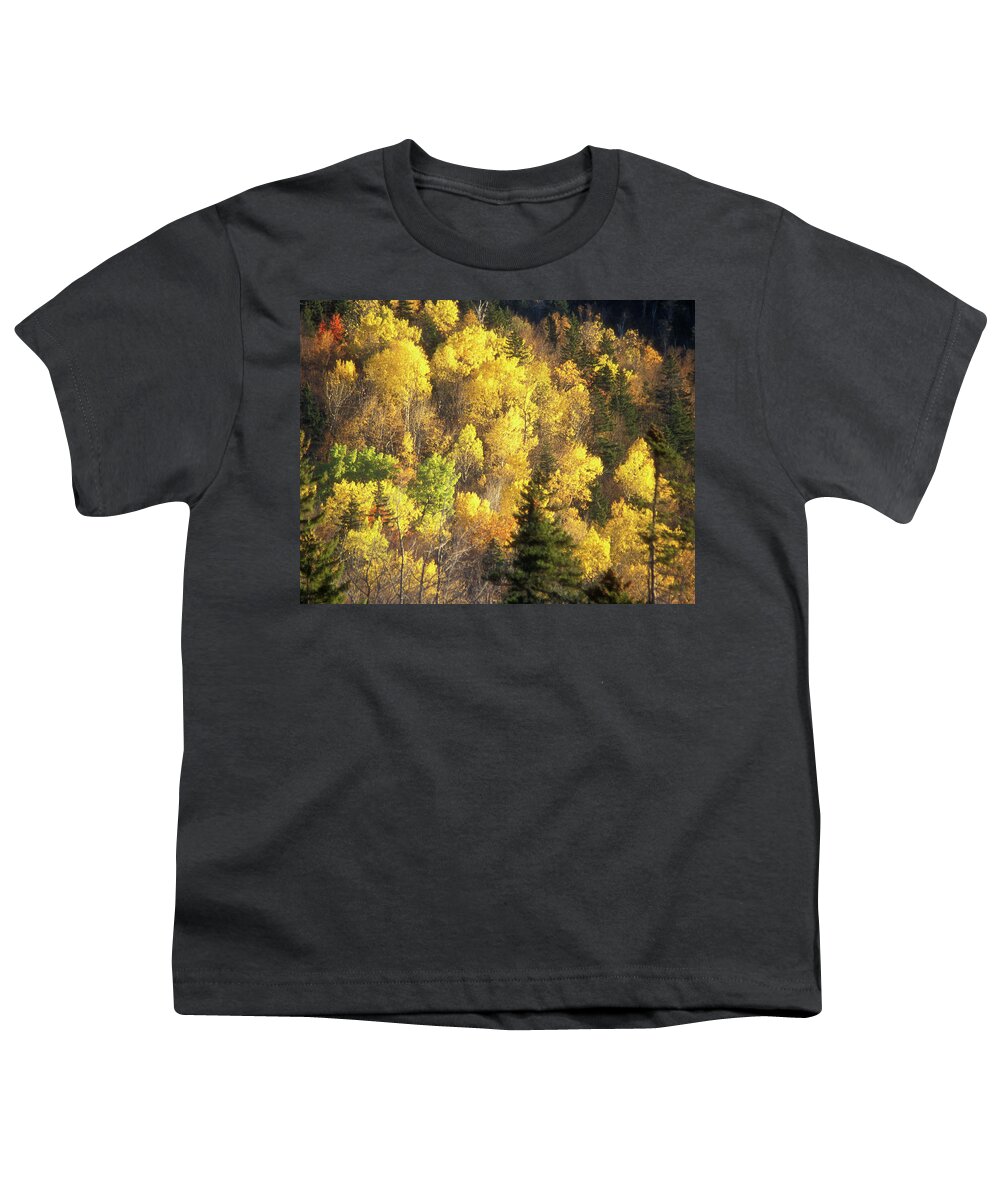 Forest Youth T-Shirt featuring the photograph Foliage Mount Katahdin by John Burk