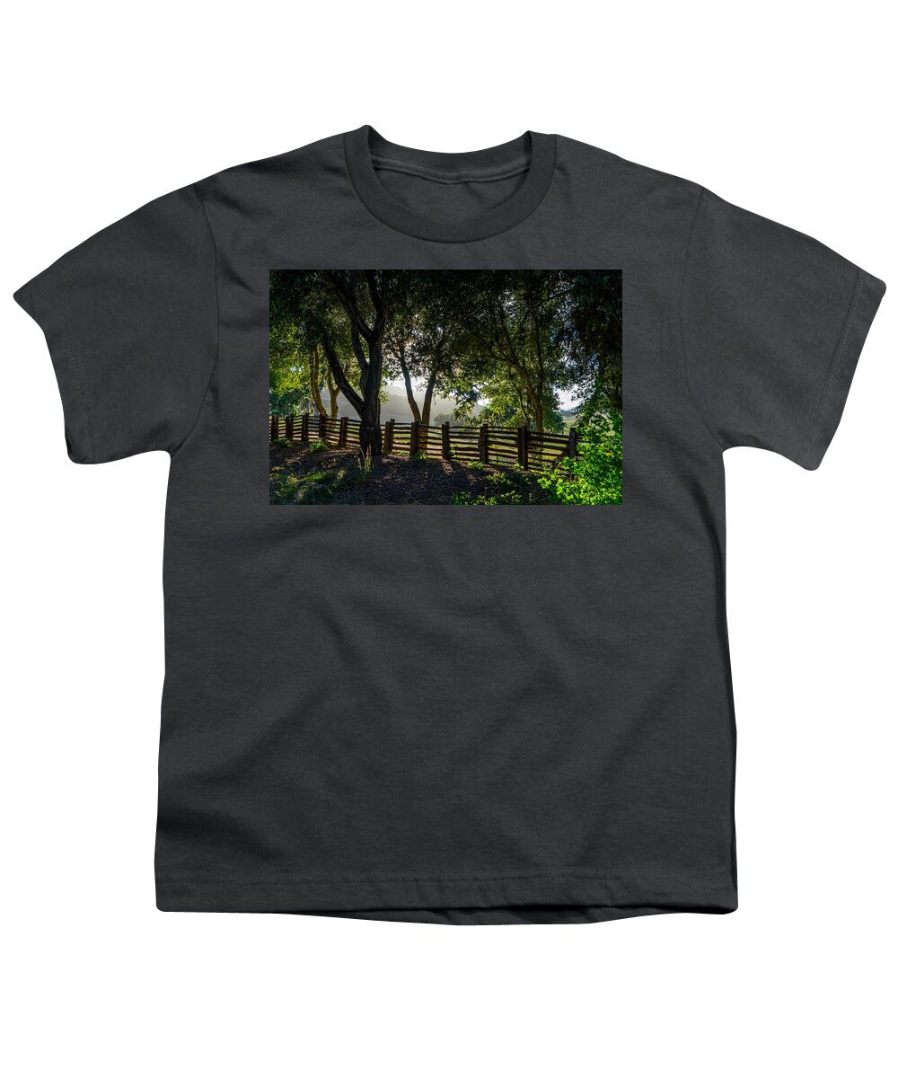 Trees Youth T-Shirt featuring the photograph Forest Fence by Derek Dean