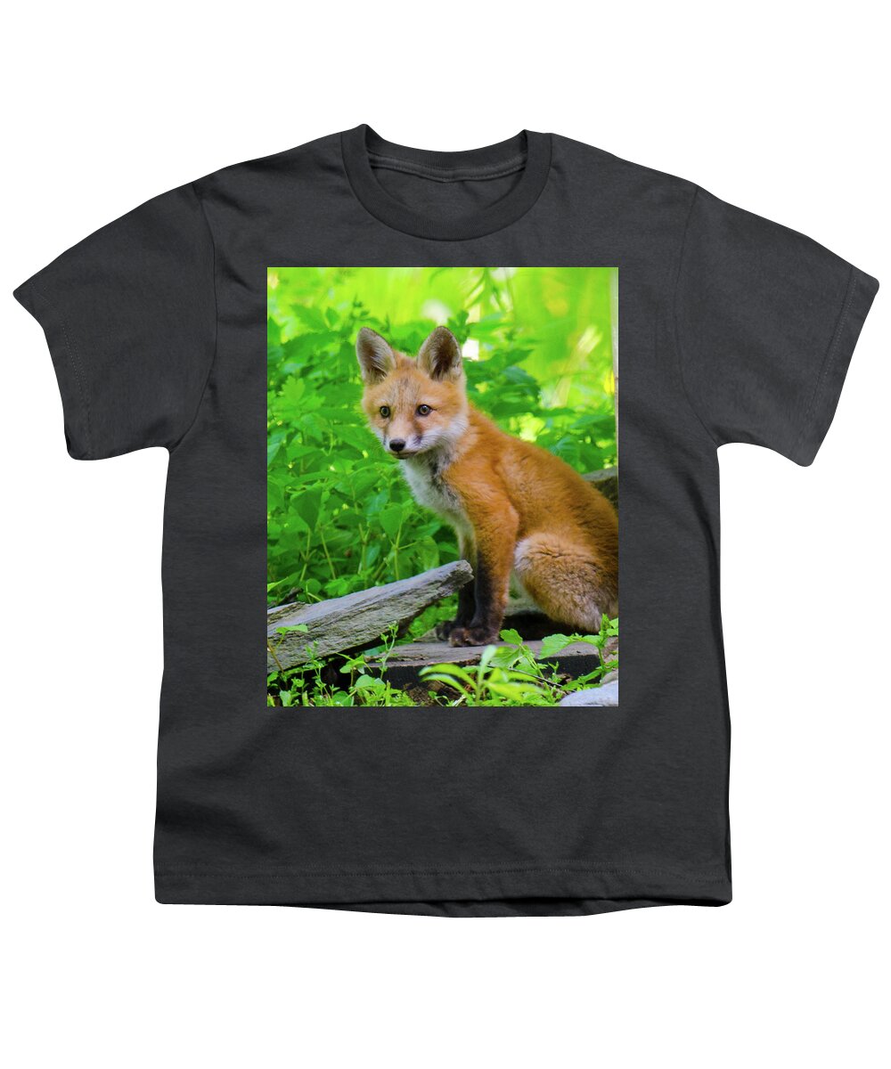 Fox Kit Youth T-Shirt featuring the photograph Fox Kit - 1 by Kristin Hatt